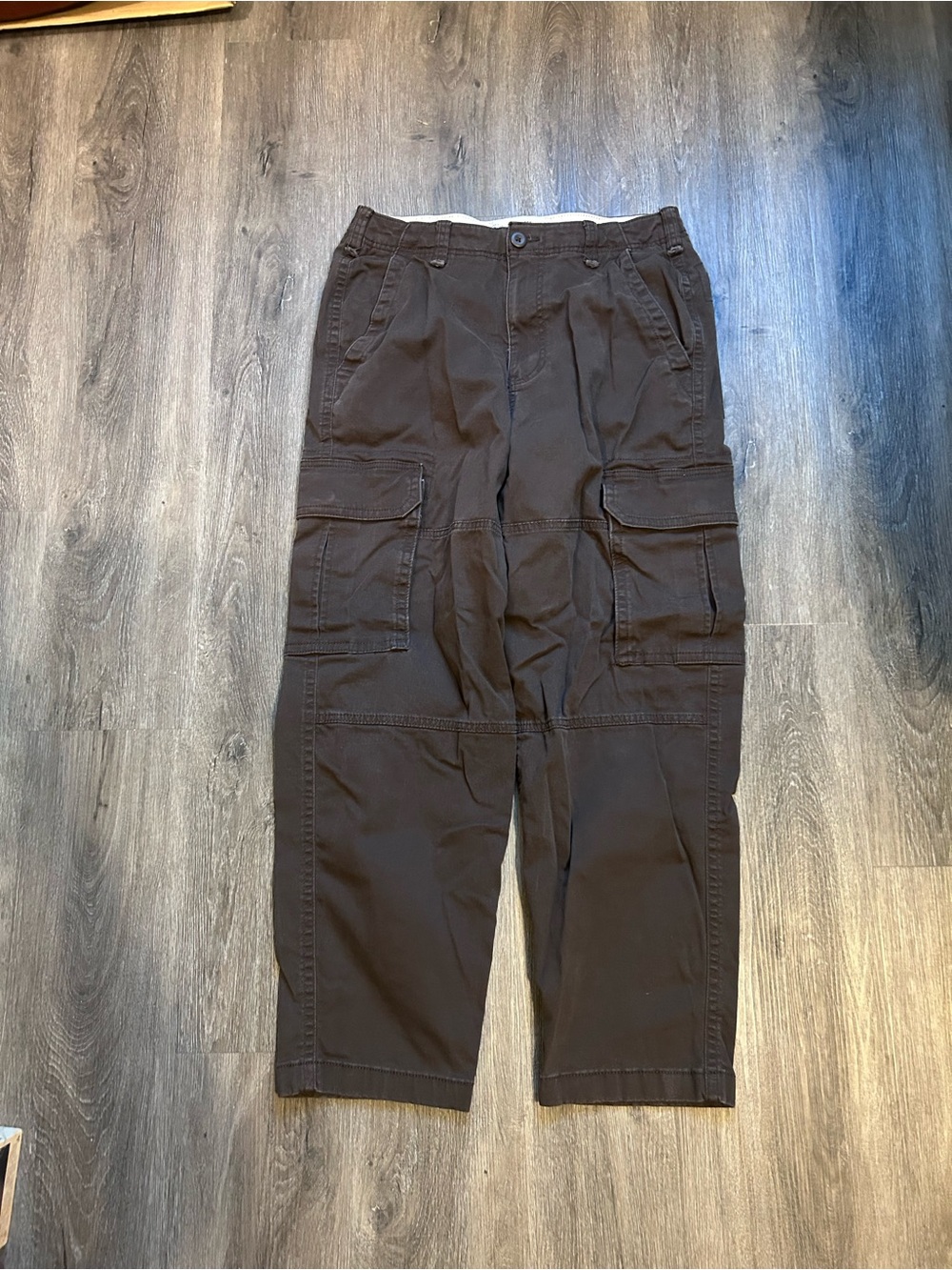 Hollister Skater Baggy Cargo Pants Brown Men’s Sz 32x32 Skating Grunge Y2K